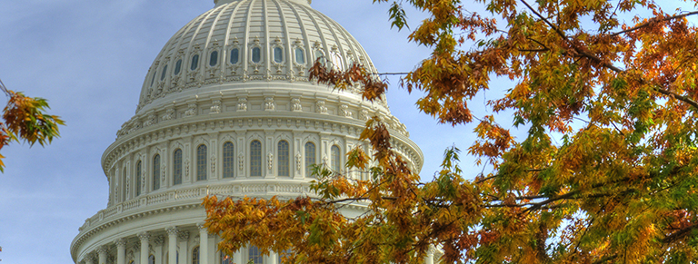 Capitol Dome