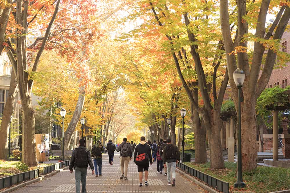 University Campus with Crowd of Students