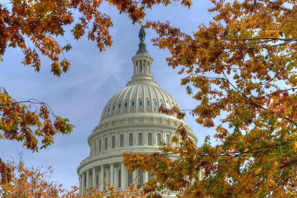 Capitol Washington DC